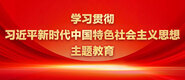 大黑屌插屄学习贯彻习近平新时代中国特色社会主义思想主题教育_fororder_ad-371X160(2)